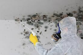 Mold Remediation for Vacation Homes in Robins Af, GA